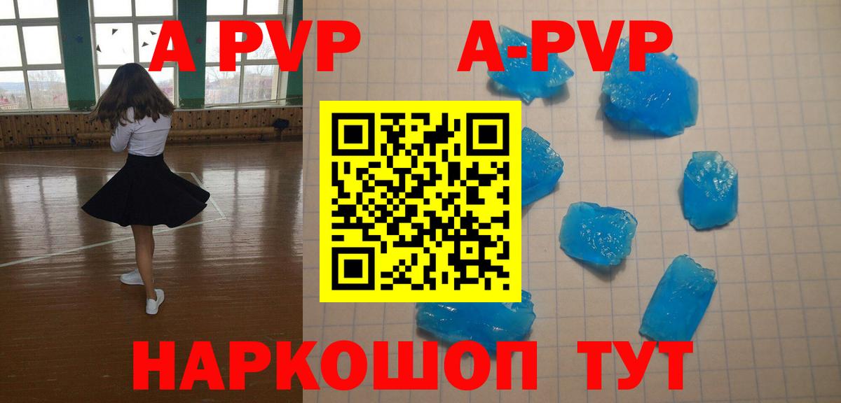 Alfa_PVP СК Ставрополь