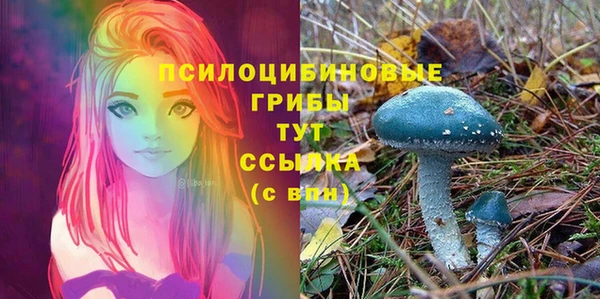 ГАЛЛЮЦИНОГЕННЫЕ ГРИБЫ Алексеевка