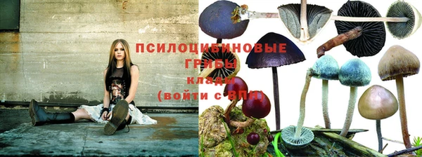 кокаин Алексин
