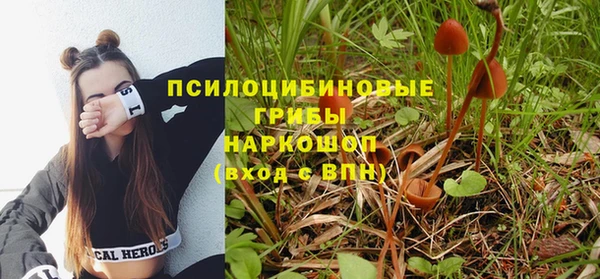 ГАЛЛЮЦИНОГЕННЫЕ ГРИБЫ Алексеевка