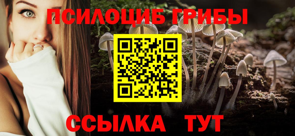 Псилоцибиновые грибы Cubensis Ставрополь