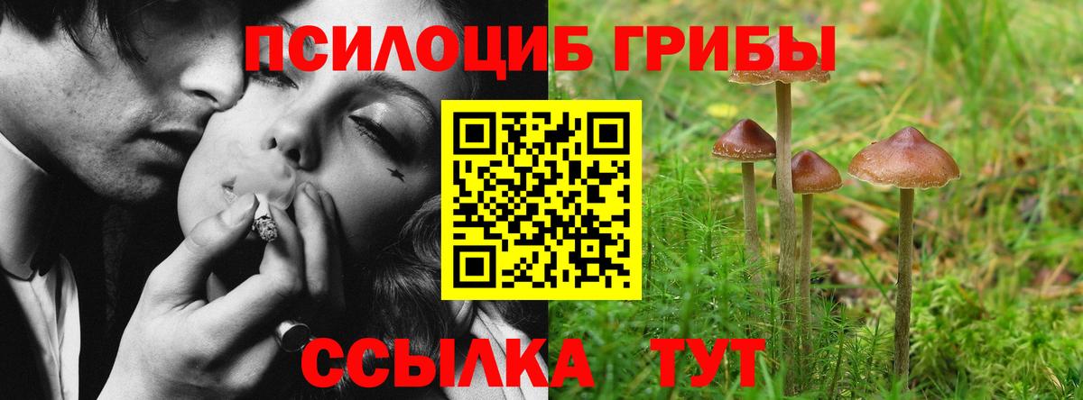 Галлюциногенные грибы мицелий  Вход с VPN  Ставрополь 