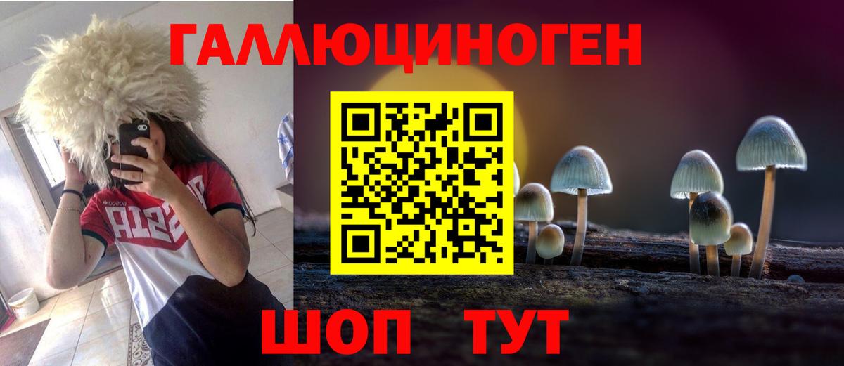 Галлюциногенные грибы прущие грибы  Вход с VPN  Ставрополь 